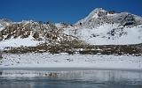 Lago e Ghiacciaio del Sommeiller - 161